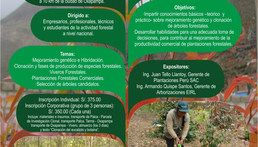 CLONACIÓN DE ESPECIES FORESTALES PARA EL DESARROLLO DE PLANTACIONES  COMPETITIVAS – cicadfor